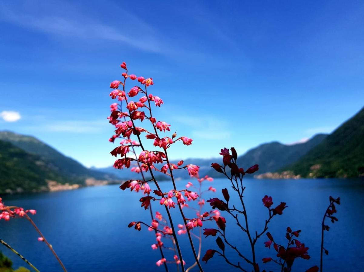 阿尔杰尼奥La Rondinella - Loft With Fantastic View On Lake Como公寓 外观 照片